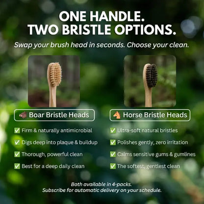PRIMALS Boar Bristle Electric Toothbrush Replacement Heads (4-Pack) - Compatible with Philips Sonicare Click-On Handles - Bamboo Base - No Nylon Bristles for Daily Deep Oral Cleaning Platinum Sensitive